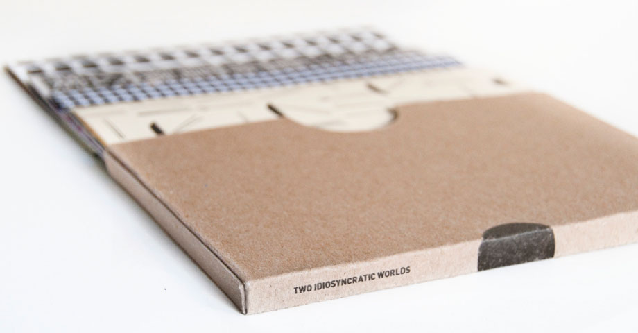 Two Idiosyncratic Worlds